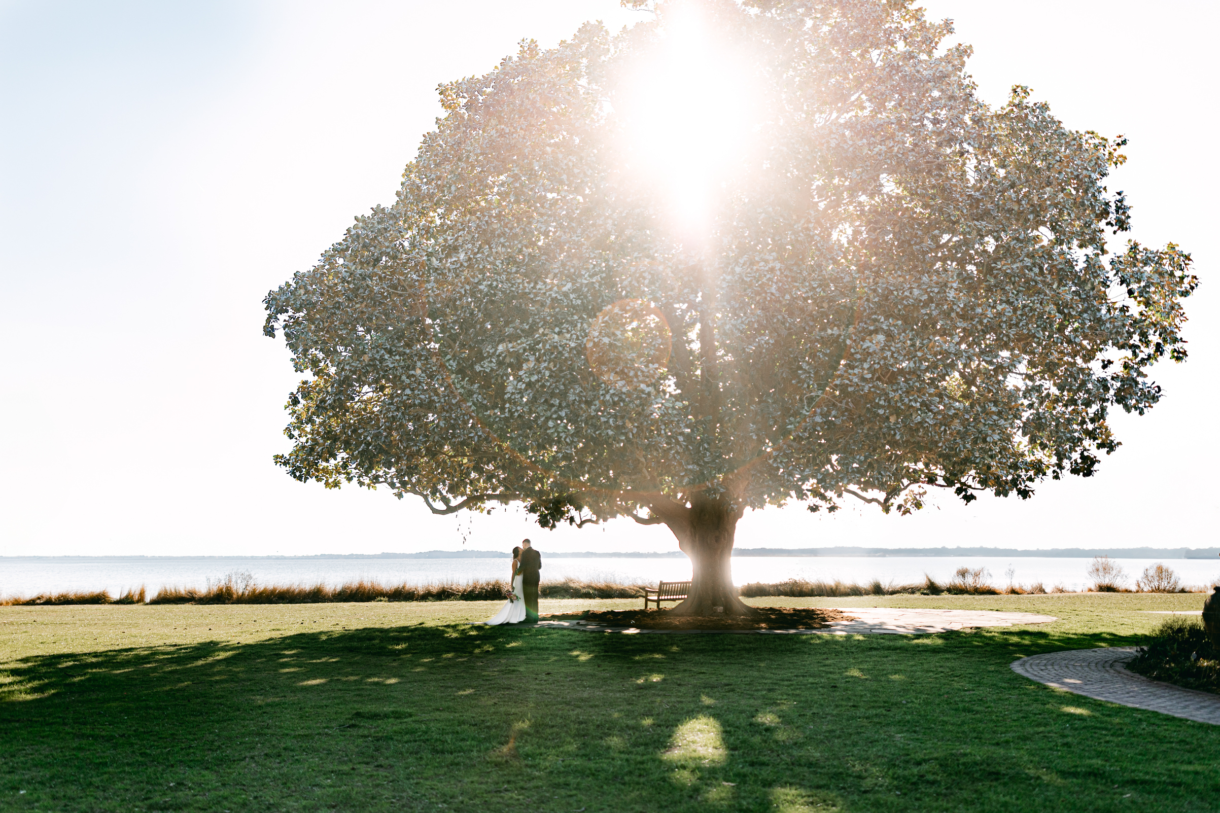 Hermitage Museum and Gardens  wedding photography of a bride and groom standing under a giant magnolia tree and kissingtaken by Virginia Beach wedding photographers Glenn and Nadya